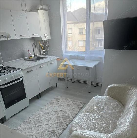 APARTAMENT 2 CAMERE DE INCHIRIAT ULTRACENTRAL IN SPATE LA BIZO - 3