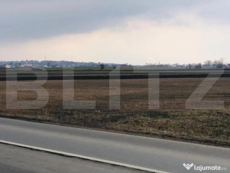 Teren extravilan de vanzare, 30.000 mp, cu potential de con - 2