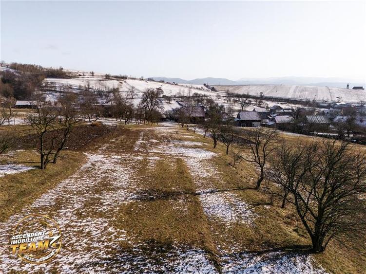 Film! Domeniu de 2.819 mp,  cu casa, Mereni, Covasna. - 1