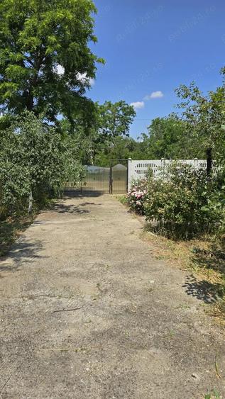 Teren si casa batraneasca - 6