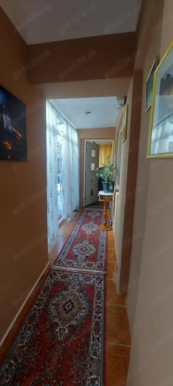 Stadion - Delfinariu - Casa - 6