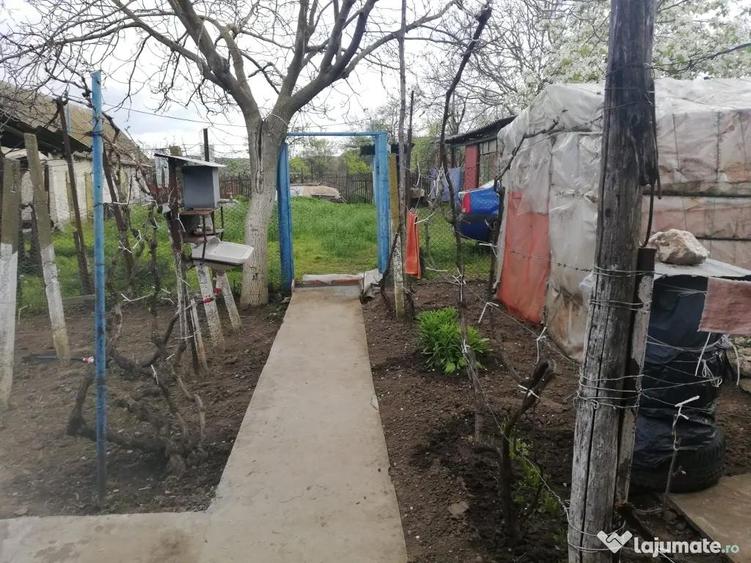 Casa de vanzare balabancea,tulcea - 3