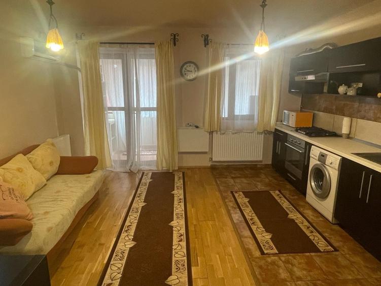 Garsonieră decomandată în Valea Ialomiței