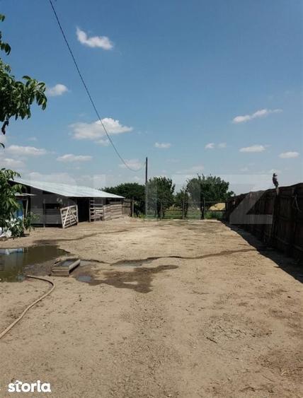 Casa pe parter 50mp utili + teren 4700mp, Bailesti - 6