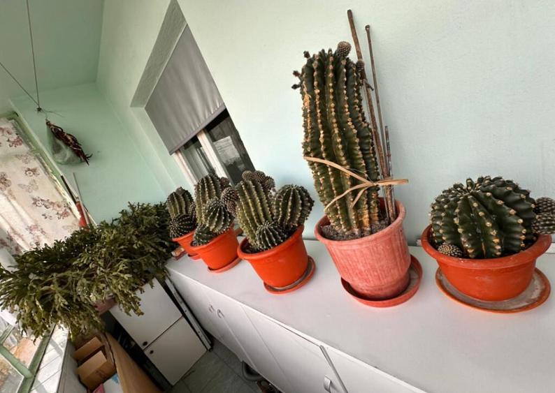 Apartament spa?ios, ideal pentru familie zona Tomis Nord, C - 13