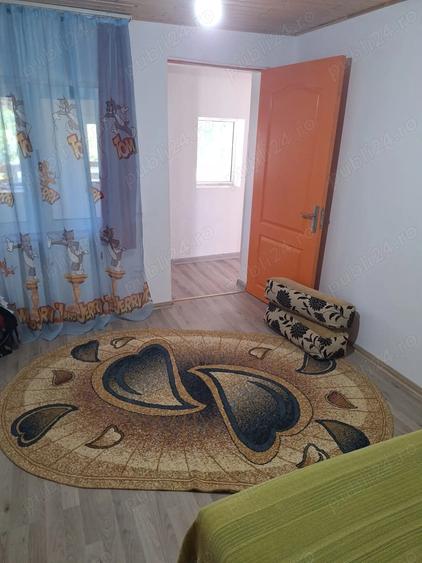 Casa de vanzare in DB, Visinesti, Urseiu - 7