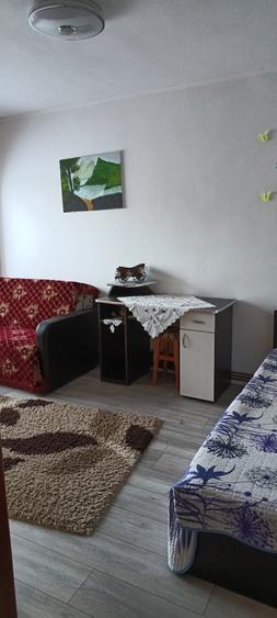 Garsoniera confort 1 de inchiriat Husi - 2