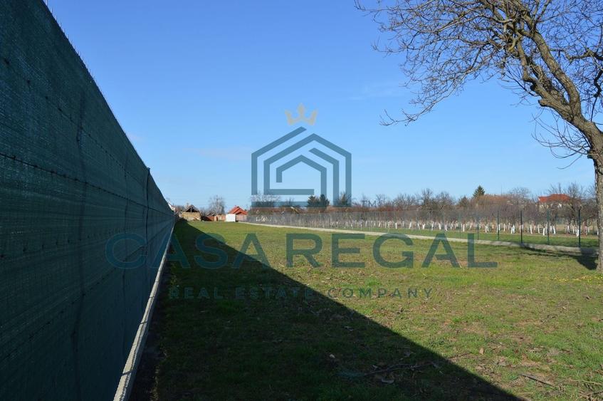 Teren 3500 mp împrejmuit, central, Biharia, lângă Profi, utilități - 9