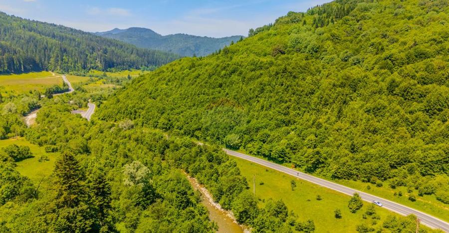 COMISION 0% Teren 3750mp / Sacele / DN1A / Poten?ial tu... - 6