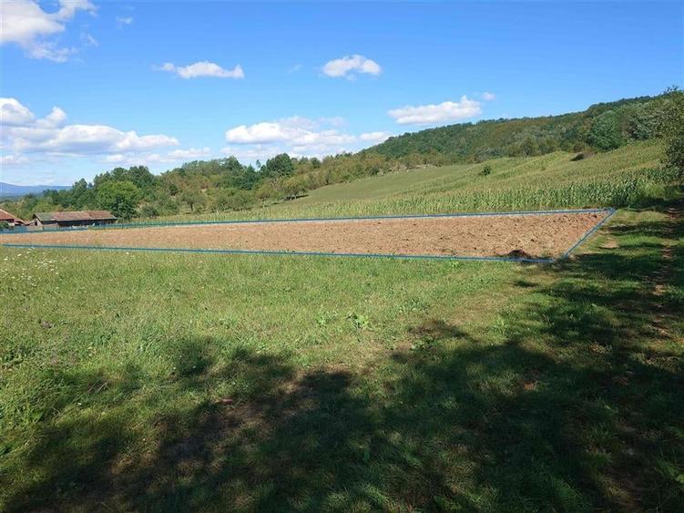 Teren intravilan pentru casa sau vacanta, Lunca, Baia de Cris - 1