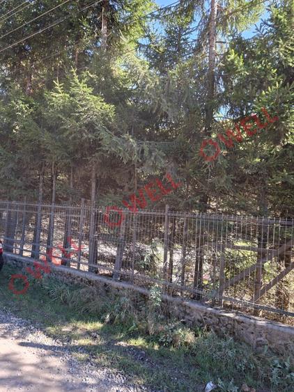 De vânzare casă de vacanță și teren intravilan în Sovata! - 8