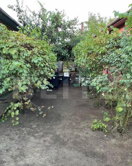 Casa batraneasca, locuibila, Podari, teren 1050 mp - 6