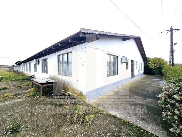 Spatiu industrial | De inchiriat | 597 mp | Vintu de Jos - 3