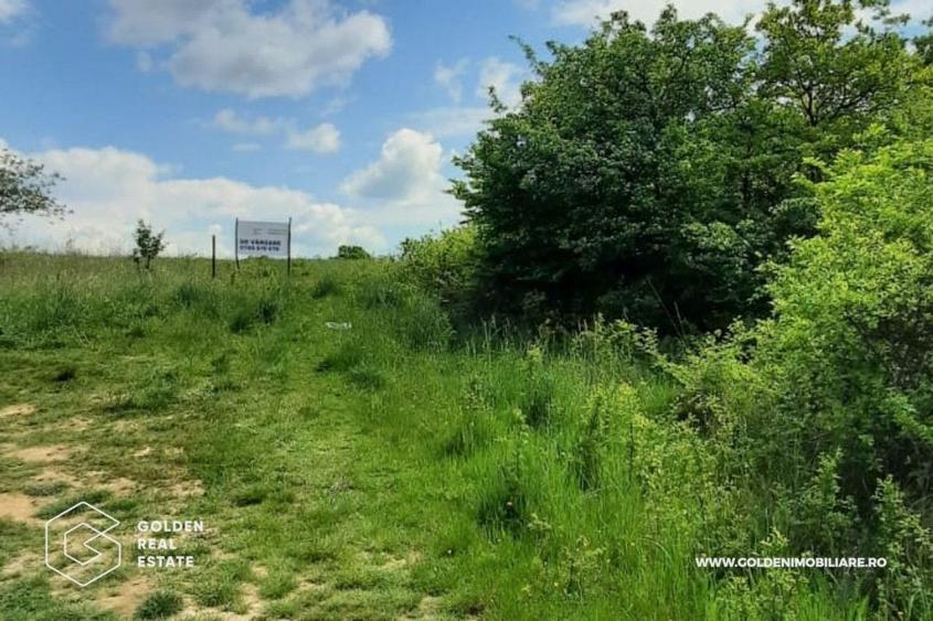 Teren intravilan 2880 mp, DJ 572 Lipova - 2