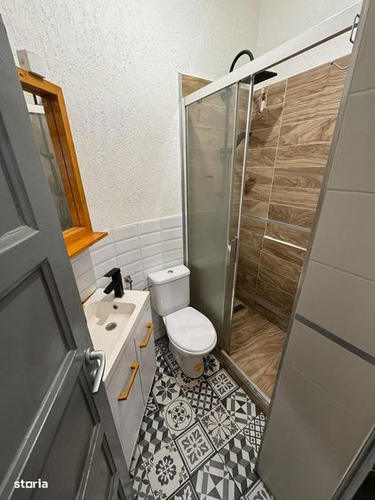 Apartament living + dormitor , mobilat , Centru , Ideal investitie ! - 7