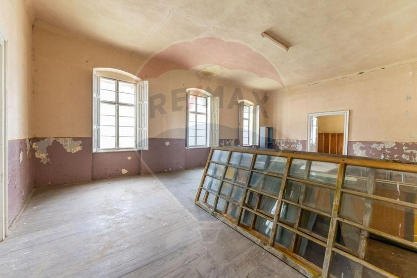 Conac aristocratic secolul XIX , domeniu  2,5 hectare — Păuliș, Arad - 9