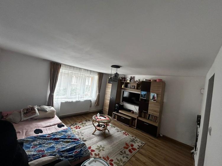 Casa de vanzare in Anina(zona Sigismund) - 5