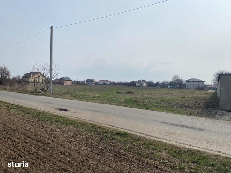 Teren de vanzare in zona Ciorogarla / Darvari - 6