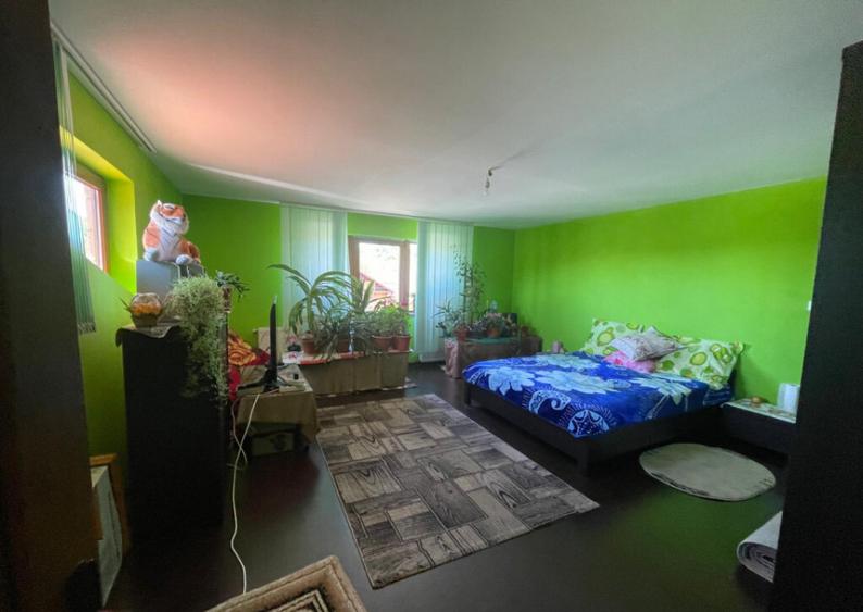 Casa P+1 *teren generos* - Sat Rasova - Bale?ti - 3