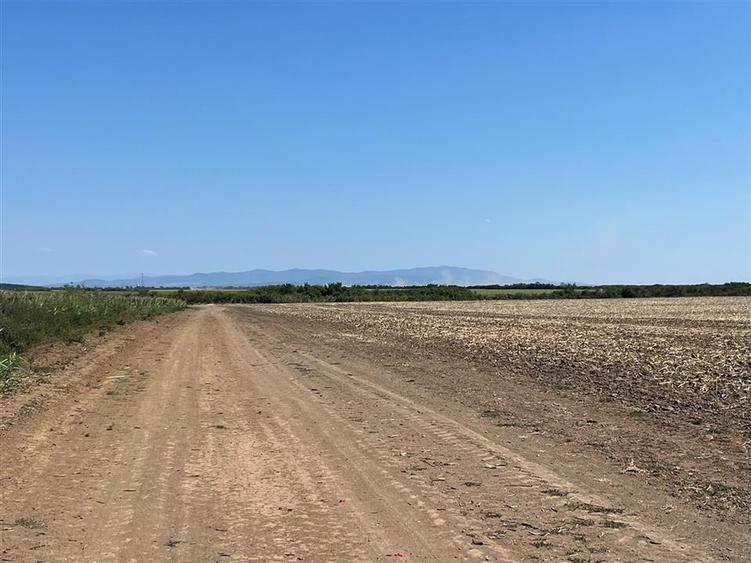Teren agricol extravilan de 18100 mp, în Tinca