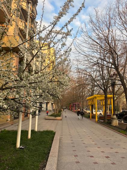 Apartament cu 3 camere decomandat în Unirii