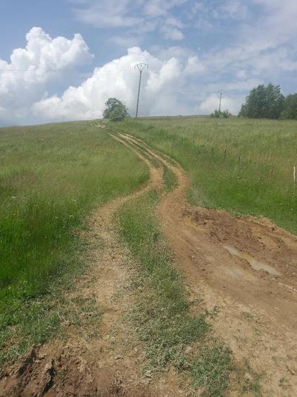Teren de 10000 mp, în Avram Iancu