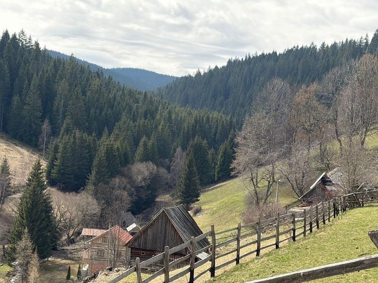 Spațiu comercial, în Muntele Bocului