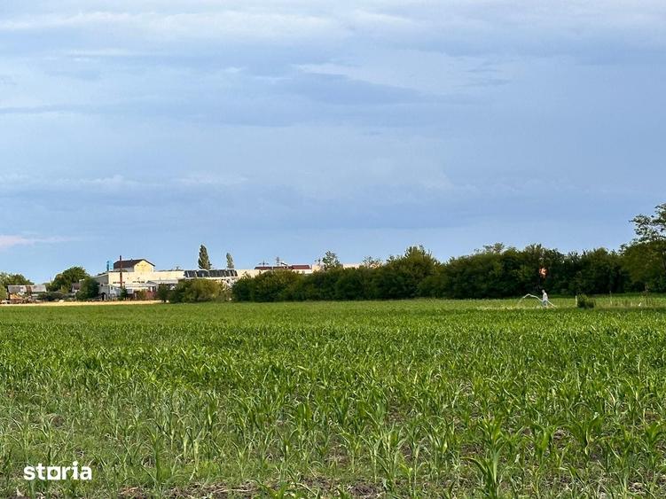 Teren de 9100 mp, în Răcari