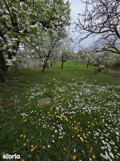 Casă cu 5 camere cu Teren 1800 Mp în Central
