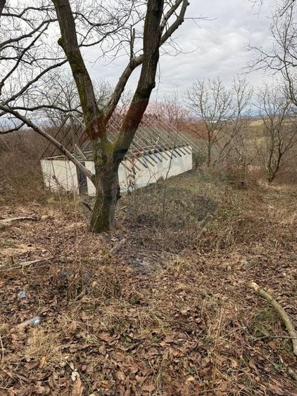 DE VANZARE Teren Strada Victoriei Baia Mare - 2