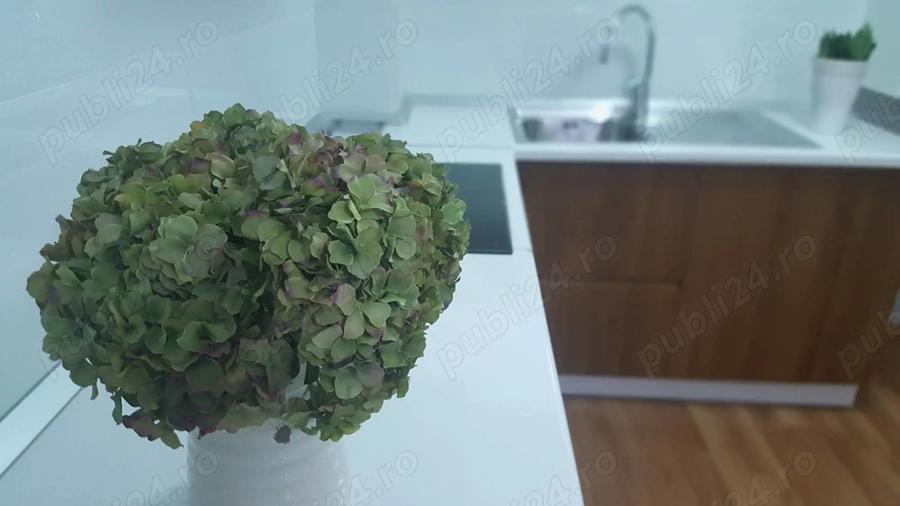 Inchiriez apartament + garaj zona centrala - 5