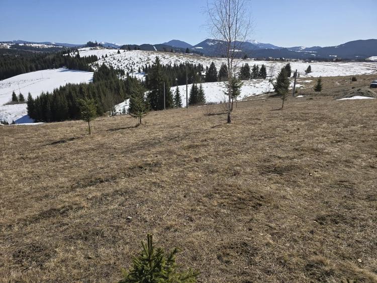 Teren intravilan 1500 mp – Zonă deosebită, Piatra Fântânele - 4