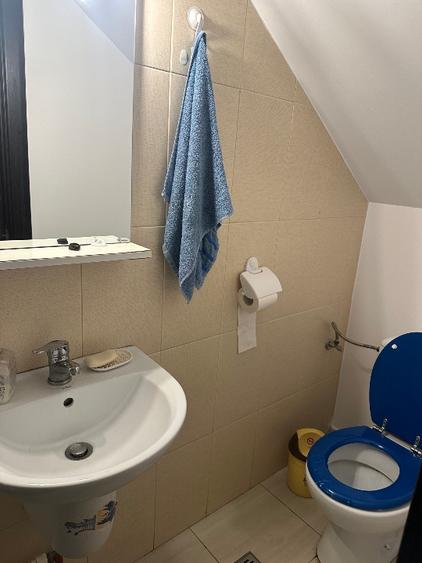 Inchiriere casa 3 camere P + 1 + M tip insiruita Prelungirea Ghencea, Cartierul  - 5