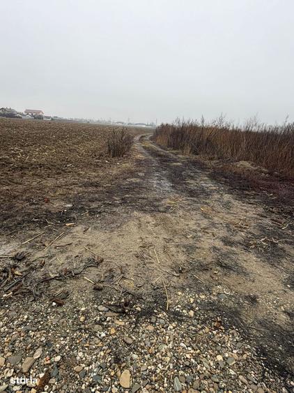 Vand Teren Hemeiusi sat Liliecipe strada prelungirea crinului - 1