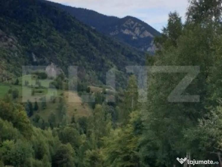 Teren 13.570 mp, Moieciu Pestera - 8