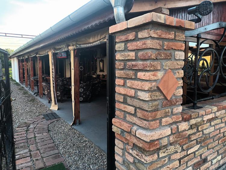 AFACERE SAU CASA DE VANZARE IN COMLOSU MIC - 2