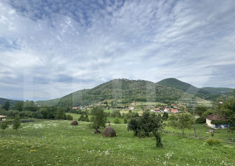 Teren intravilan, 4364 mp, in Luncoiu de Jos - 10