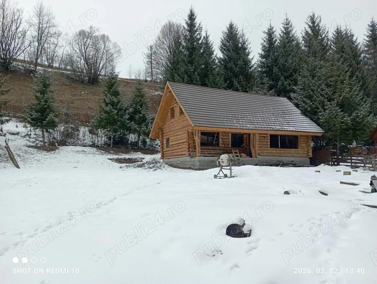 Cas de bustean de vanzare - 1