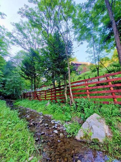 Vand Cabana cu ciubar (Fenes jud Alba) - 6