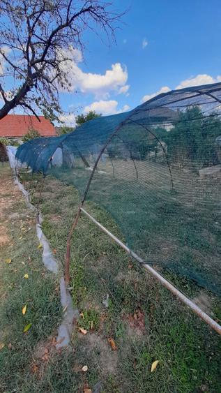 De vanzare casa, curte si gradina in ORASTIE - 2