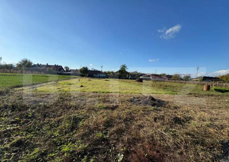 Casa cu 3 camere, 100mp, in Tampa - 2