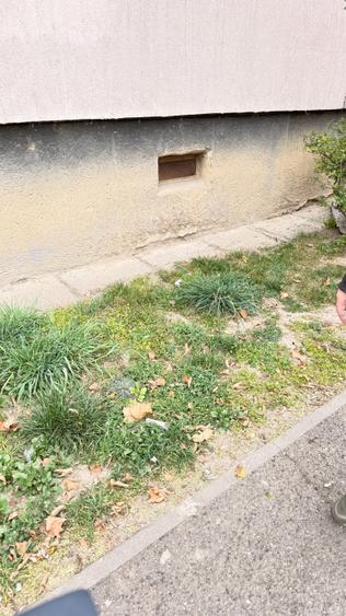 Str. Serelor (Parcul Central) Apartament cu 4 camere, decomandat, beci +garaj! - 13