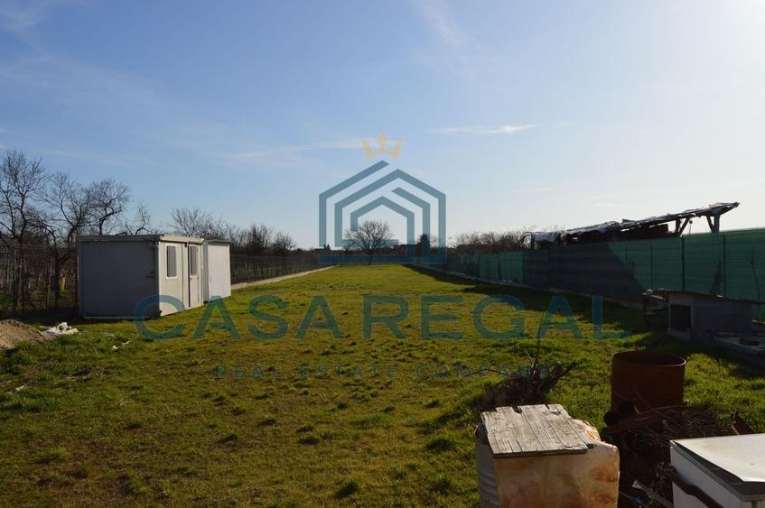 Teren 3500 mp împrejmuit, central, Biharia, lângă Profi, utilități - 4