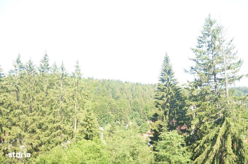 Apartament cu 3 camere, balcon ?i gradina ,Cioplea - 9