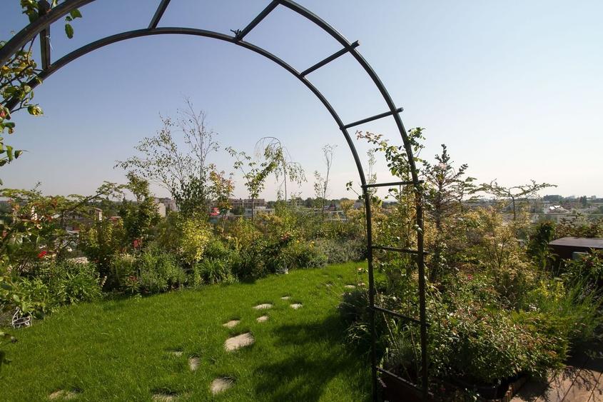 Nasara Suite  | Penthouse de LUX cu vedere la Lacul Baneasa - 22