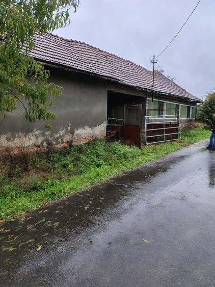 Casa cu teren 2 hectare intravilan - 8
