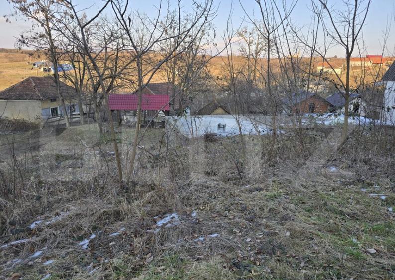 Teren intravilan 7.9 ha. Sandra - 1