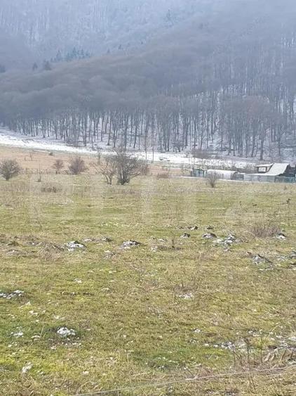 Oportunitate!!!! TEREN INTRAVILAN CU SUPRAFATA DE 5200 MP - 6