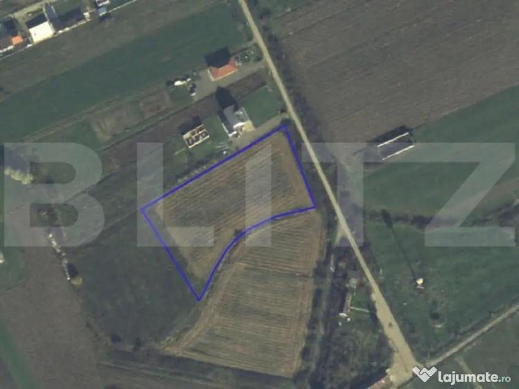Teren intravilan de vanzare, 7020 mp, in Decebal - 1