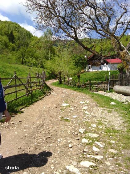 Teren intravilan de vanzare Moieciu de Jos - 4